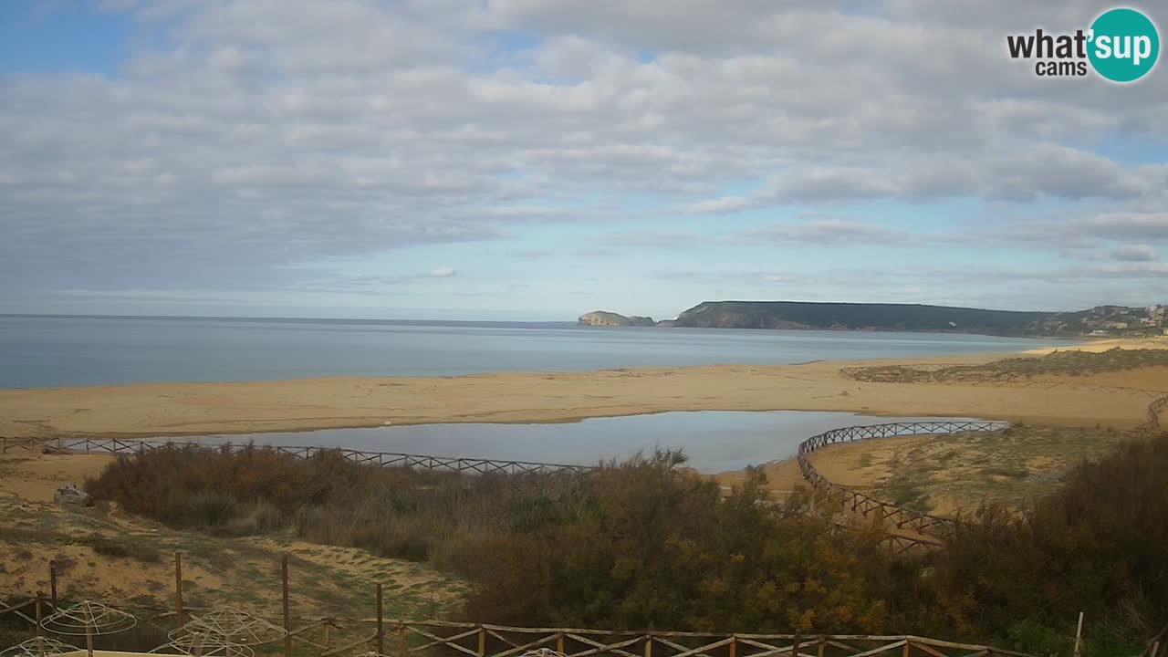 Webcam Torre dei Corsari – Live Beach View from Punta Usai