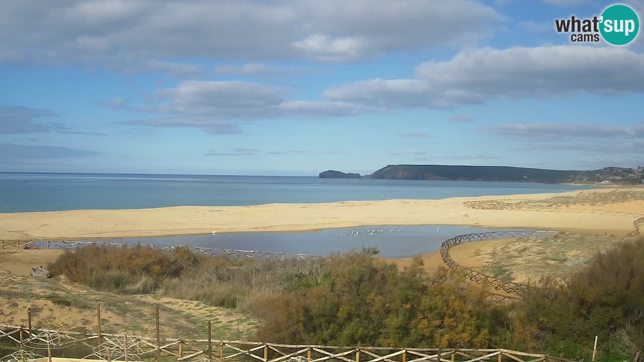 Cámara web Torre dei Corsari – Vista en directo de la playa desde Punta Usai