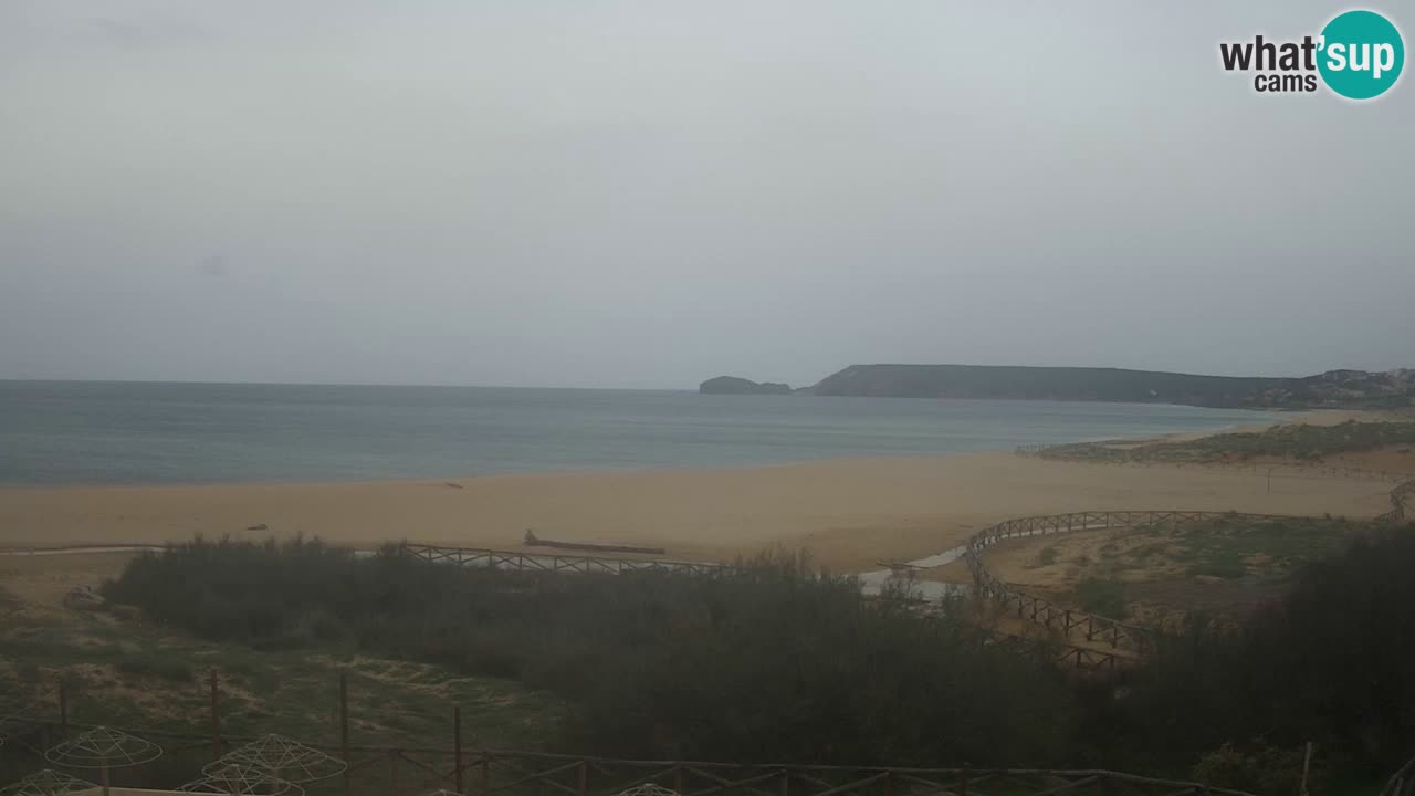 Webcam Torre dei Corsari – Live Beach View from Punta Usai