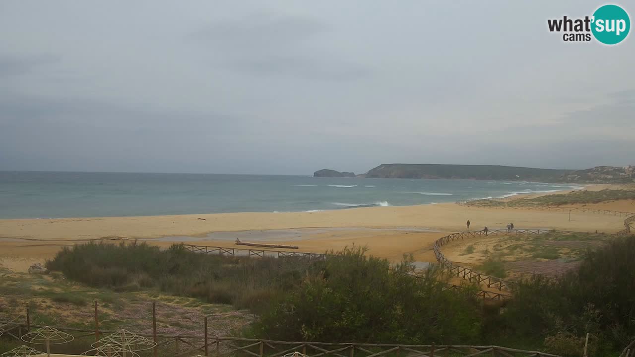 Webcam Torre dei Corsari – Live Beach View from Punta Usai