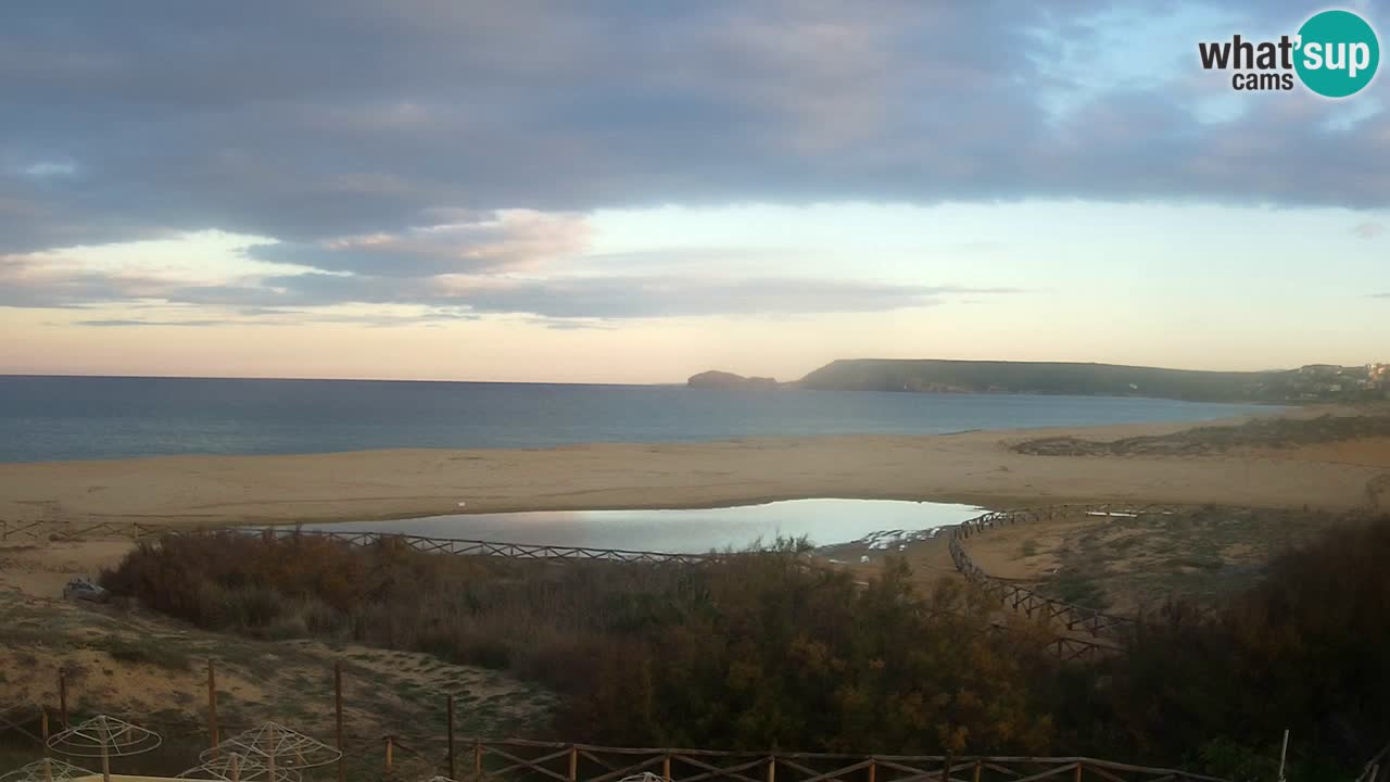 Webcam Torre dei Corsari – Live Beach View from Punta Usai