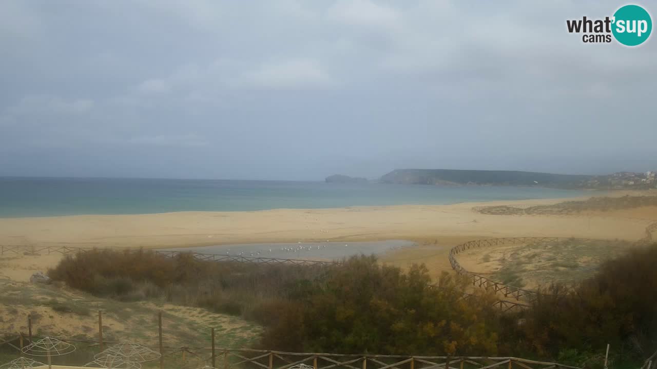 Web kamera Torre dei Corsari – Pogled uživo na plažu s Punta Usai