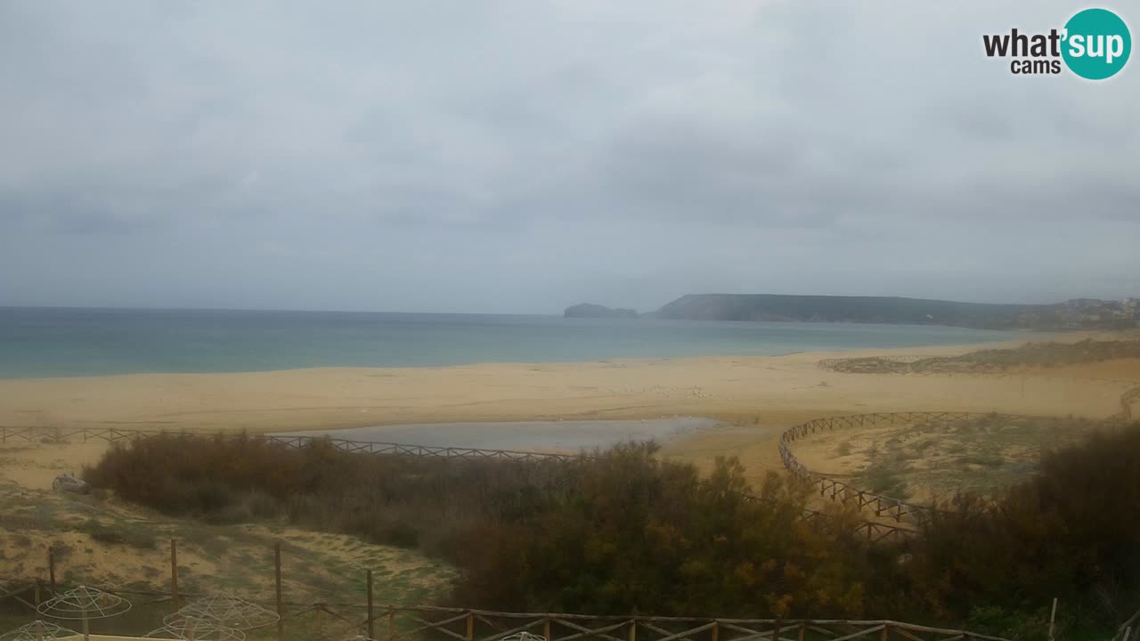 Webcam Torre dei Corsari – Live Beach View from Punta Usai