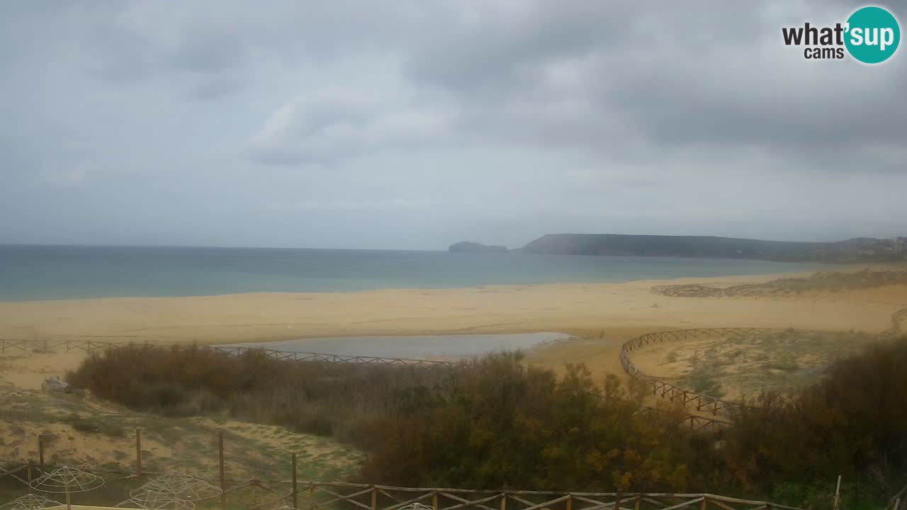 Webcam Torre dei Corsari – Live Beach View from Punta Usai