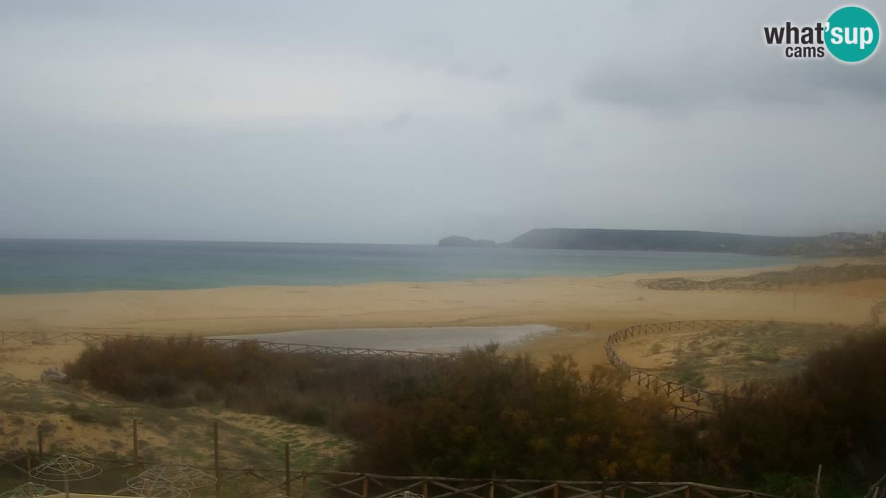 Webcam Torre dei Corsari – Live Beach View from Punta Usai