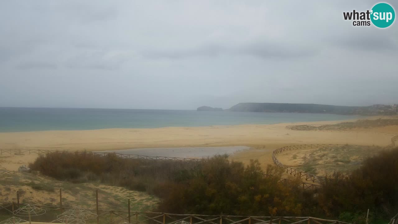 Webcam Torre dei Corsari – Live Beach View from Punta Usai