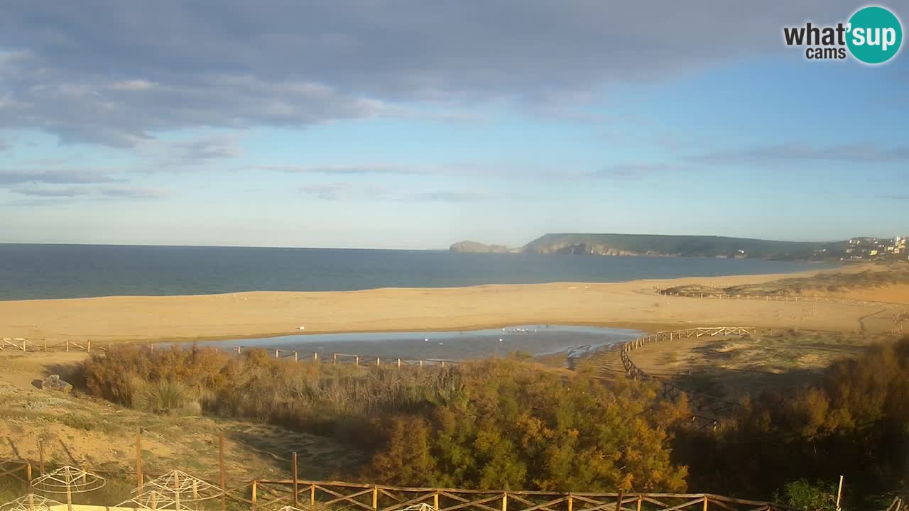 Webcam Torre dei Corsari – Liveblick auf den Strand von Punta Usai