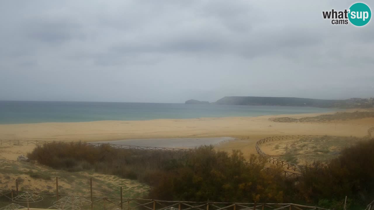 Webcam Torre dei Corsari – Live Beach View from Punta Usai