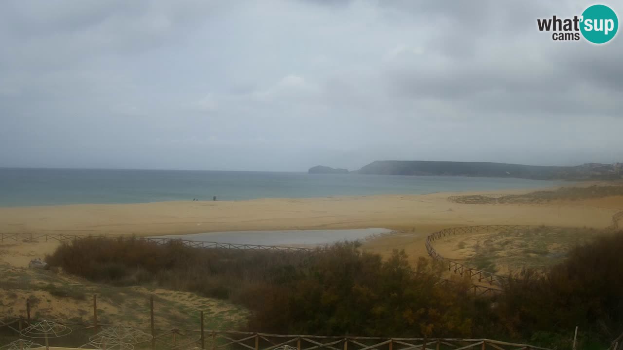 Webcam Torre dei Corsari – Live Beach View from Punta Usai