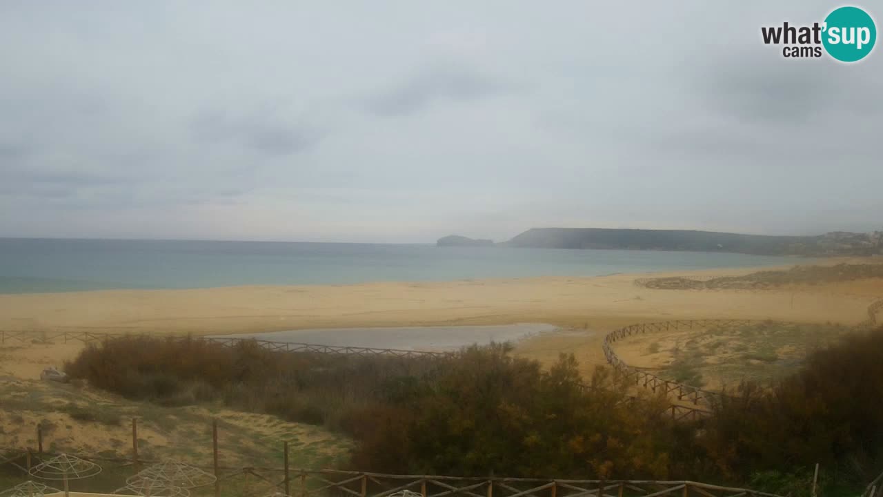 Web kamera Torre dei Corsari – Pogled uživo na plažu s Punta Usai