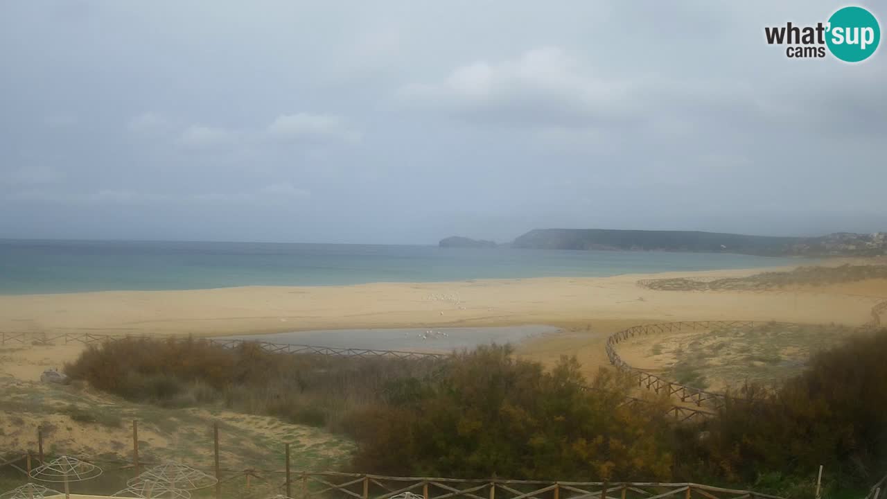Webcam Torre dei Corsari – Vue en direct sur la plage depuis Punta Usai