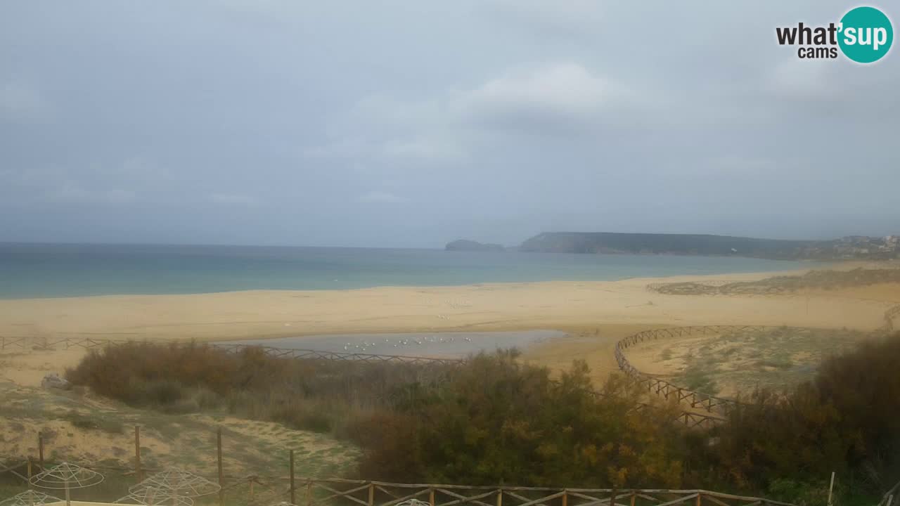 Webcam Torre dei Corsari – Liveblick auf den Strand von Punta Usai