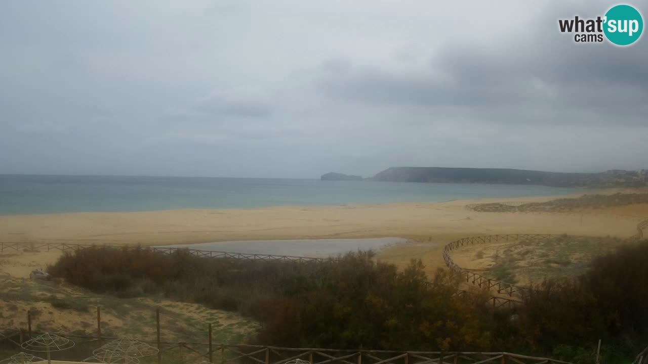 Webcam Torre dei Corsari – Live Beach View from Punta Usai