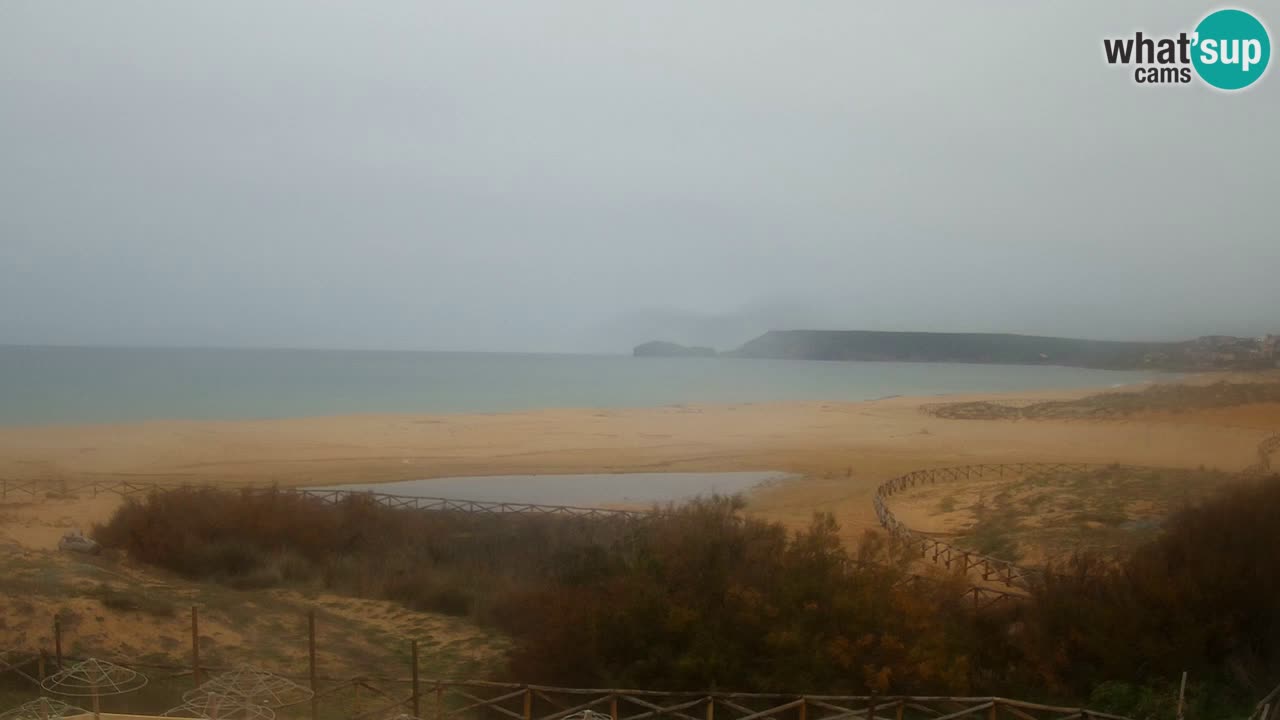 Webcam Torre dei Corsari – Live Beach View from Punta Usai