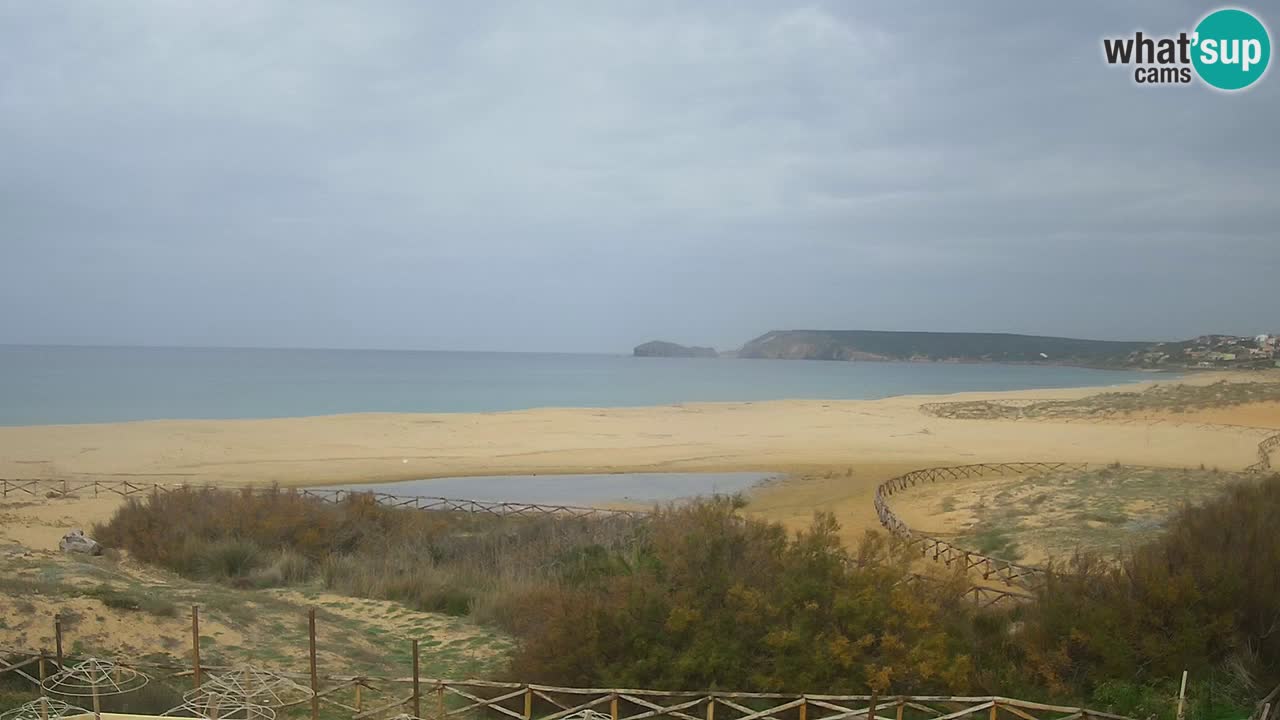 Webcam Torre dei Corsari – Live Beach View from Punta Usai