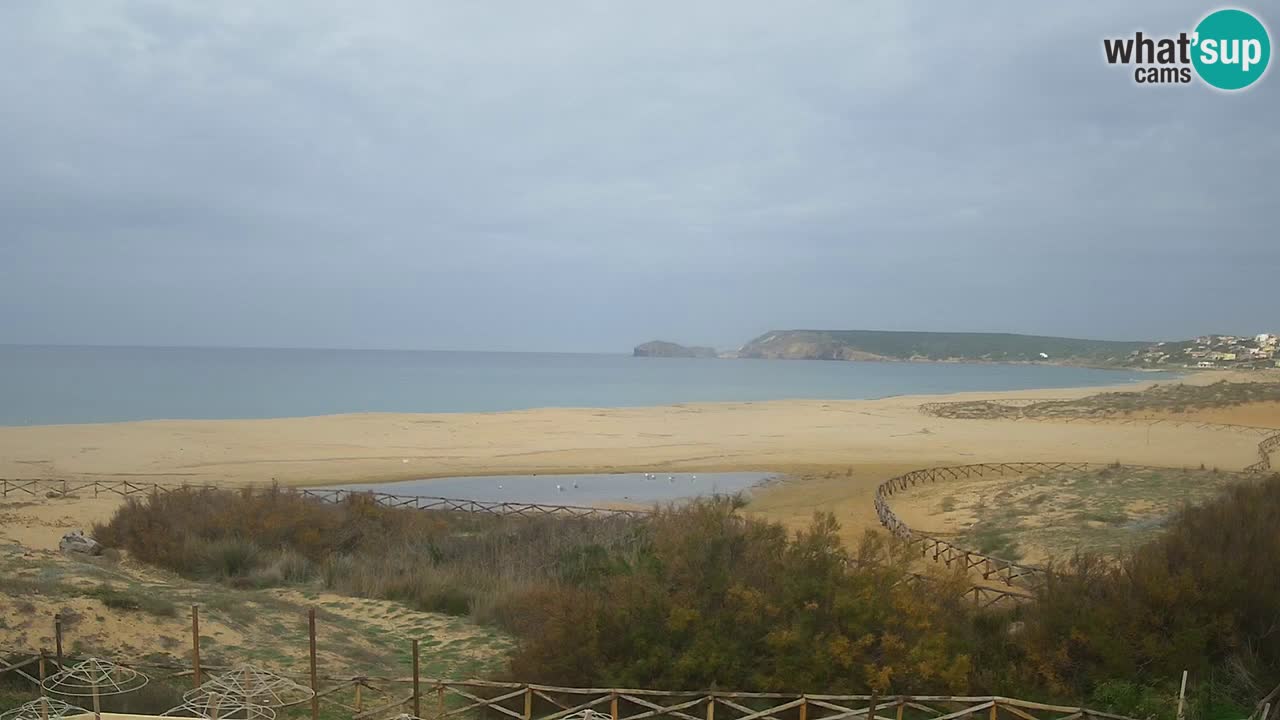 Webcam Torre dei Corsari – Live Beach View from Punta Usai