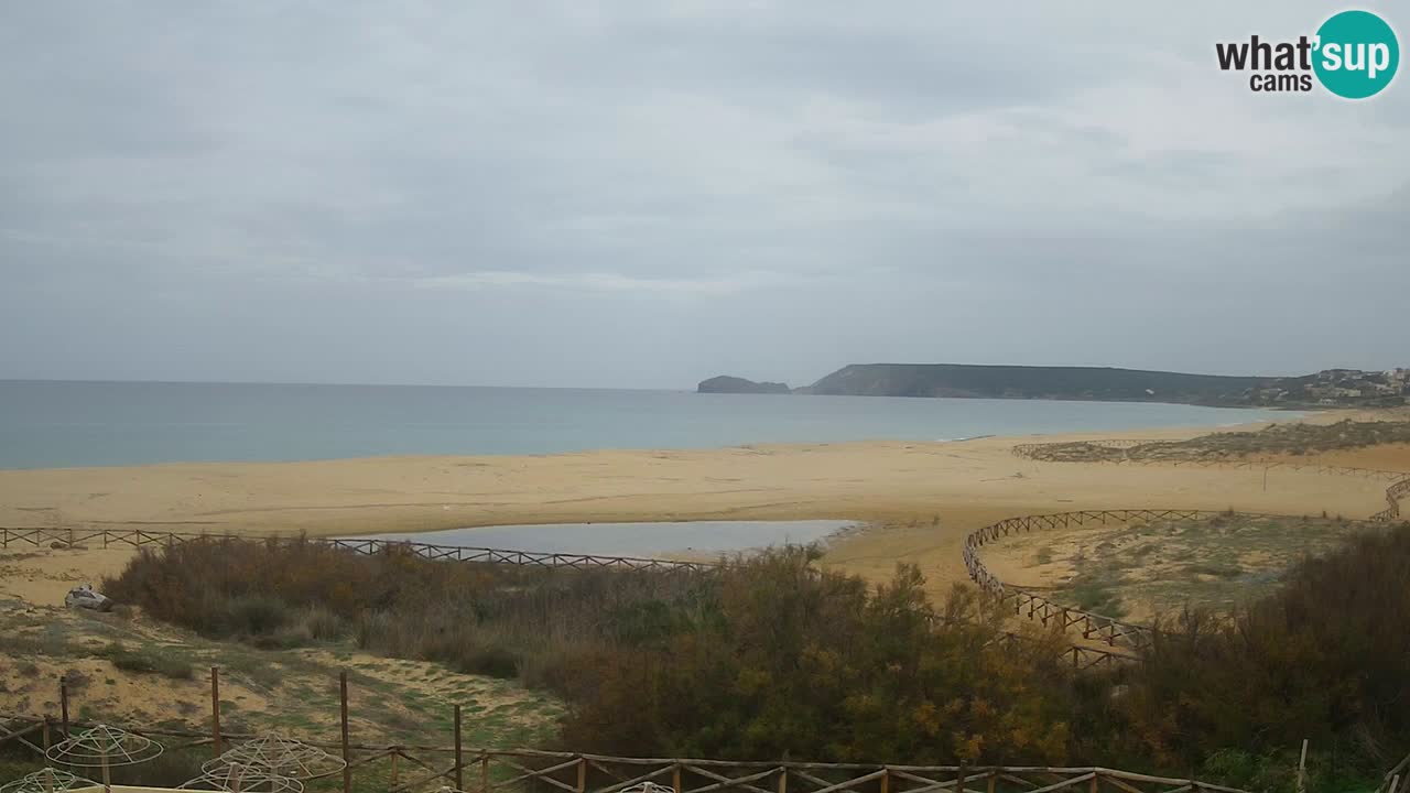 Web kamera Torre dei Corsari – Pogled uživo na plažu s Punta Usai