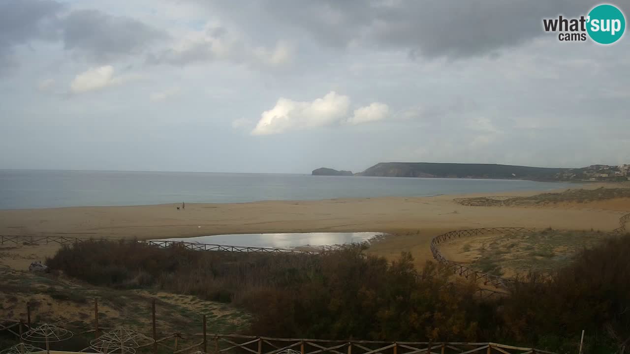 Webcam Torre dei Corsari – Live Beach View from Punta Usai