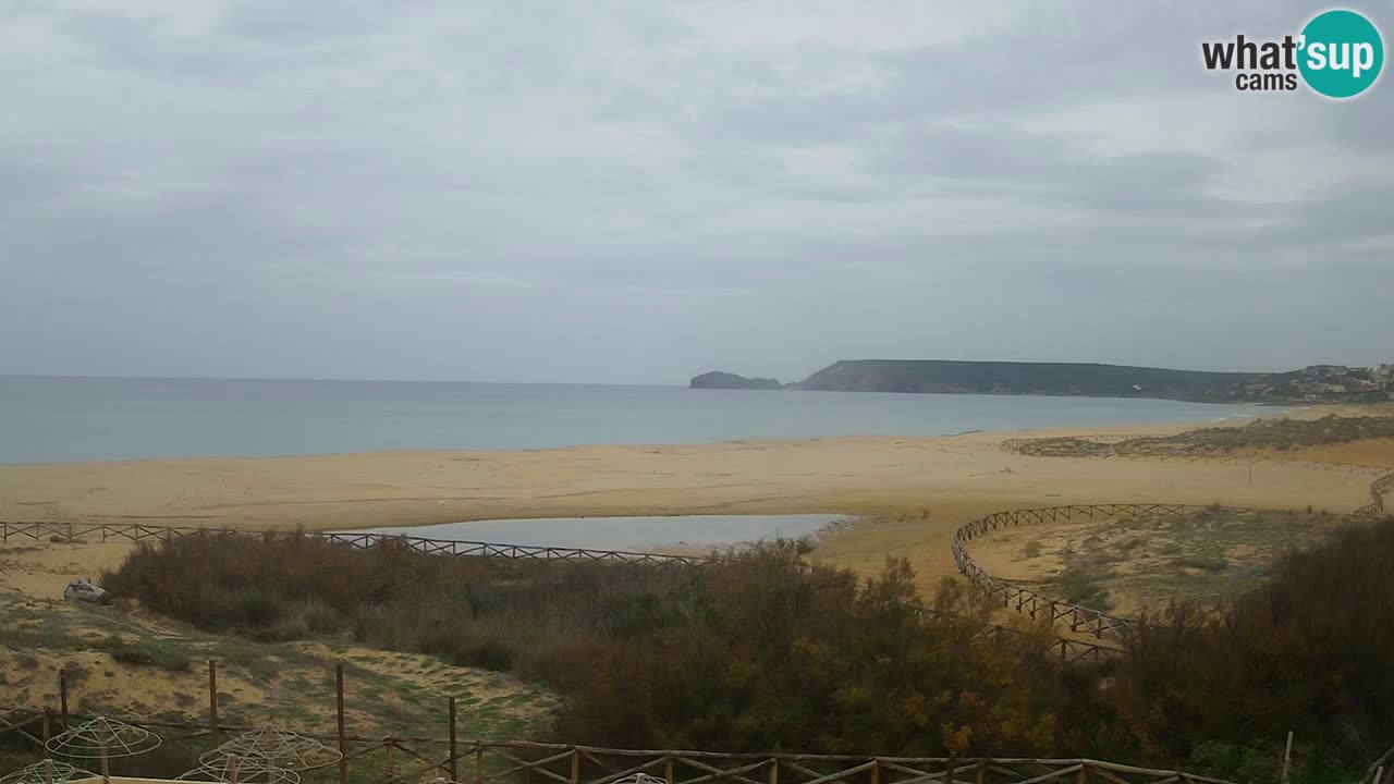 Webcam Torre dei Corsari – Live Beach View from Punta Usai