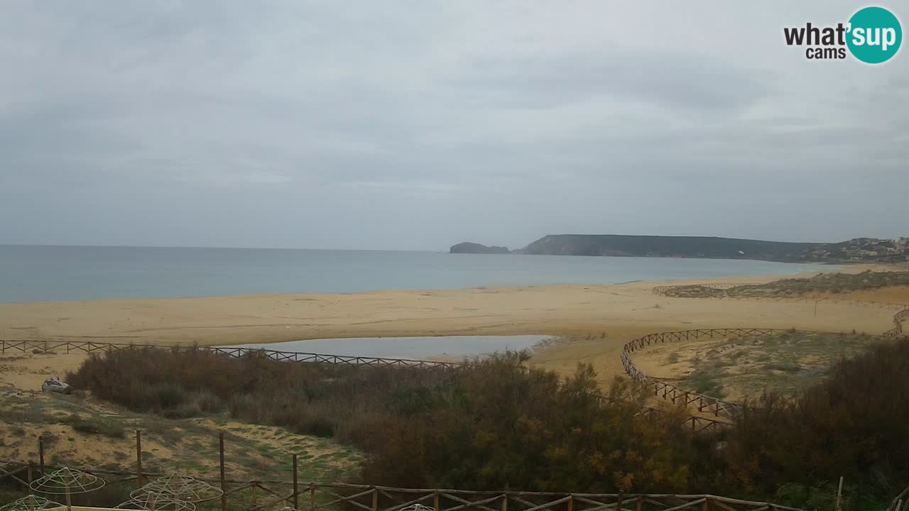 Webcam Torre dei Corsari – Live Beach View from Punta Usai
