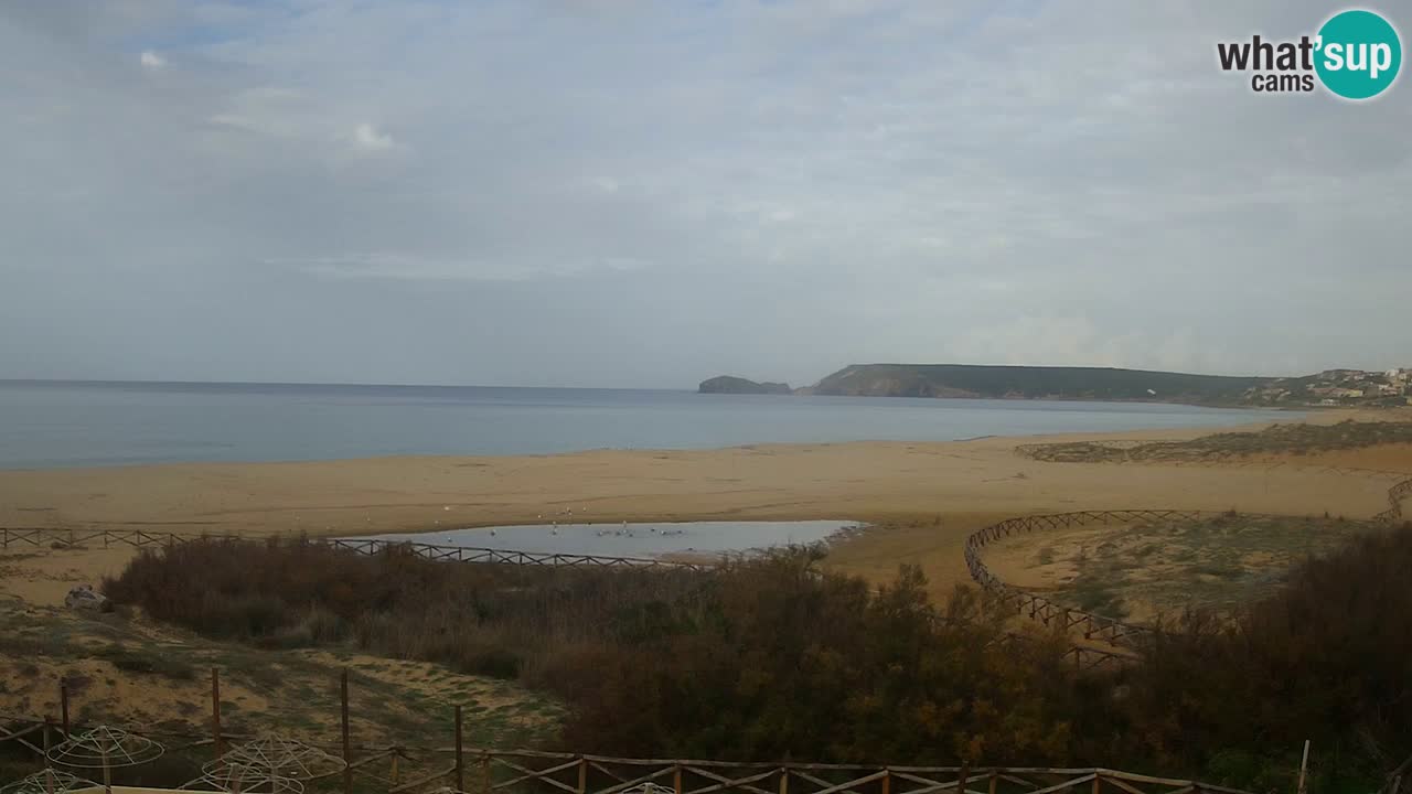 Webcam Torre dei Corsari – Liveblick auf den Strand von Punta Usai
