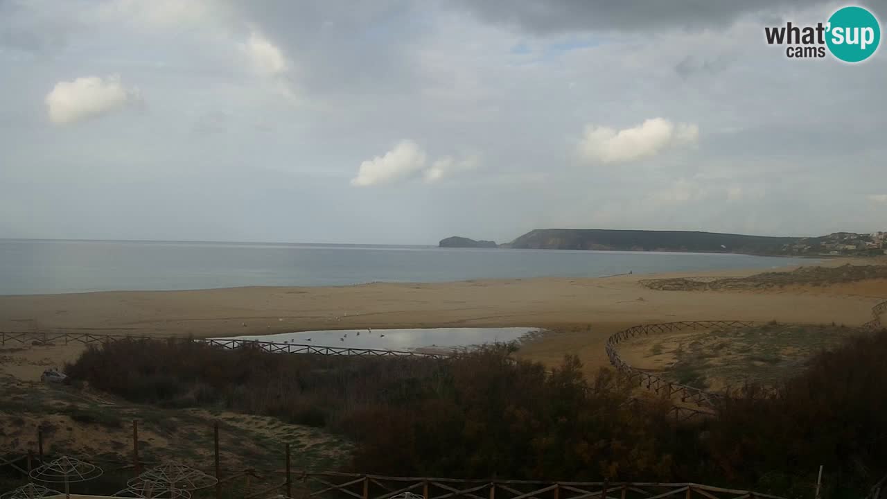 Webcam Torre dei Corsari – Vue en direct sur la plage depuis Punta Usai