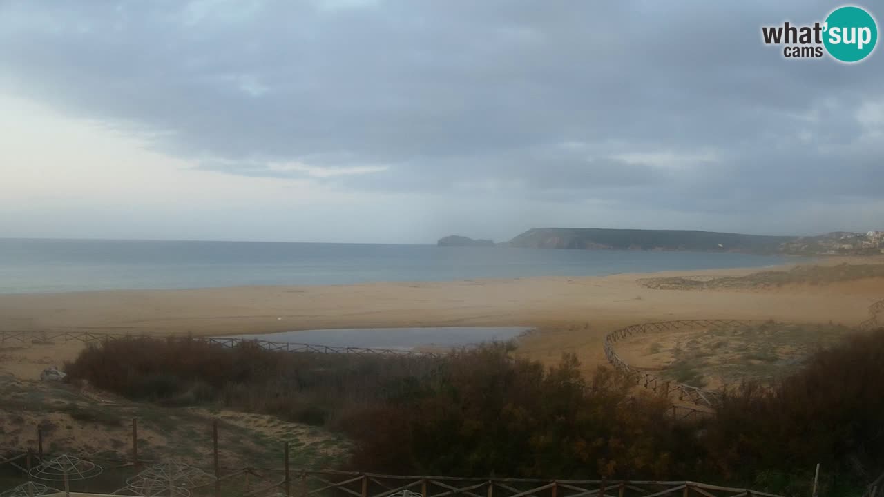 Webcam Torre dei Corsari – Live Beach View from Punta Usai