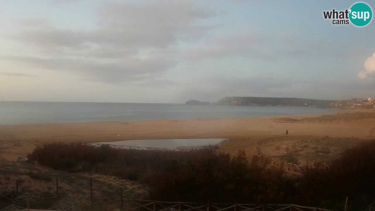 Webcam Torre dei Corsari – Live Beach View from Punta Usai