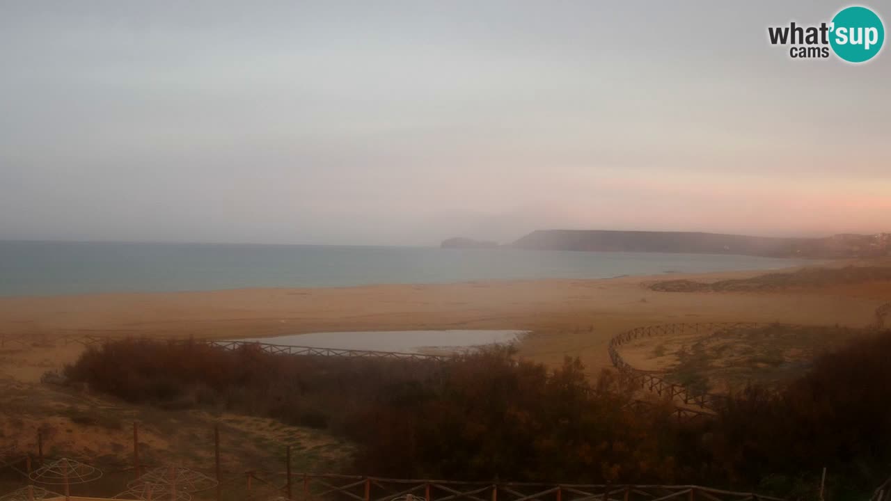 Webcam Torre dei Corsari – Live Beach View from Punta Usai