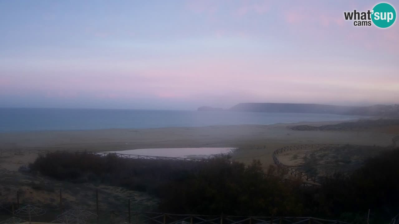 Webcam Torre dei Corsari – Live Beach View from Punta Usai