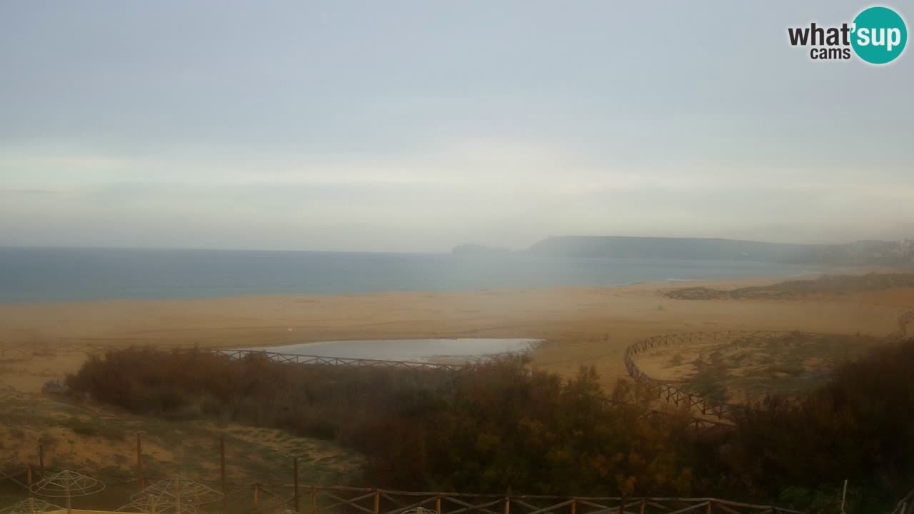 Webcam Torre dei Corsari – Live Beach View from Punta Usai