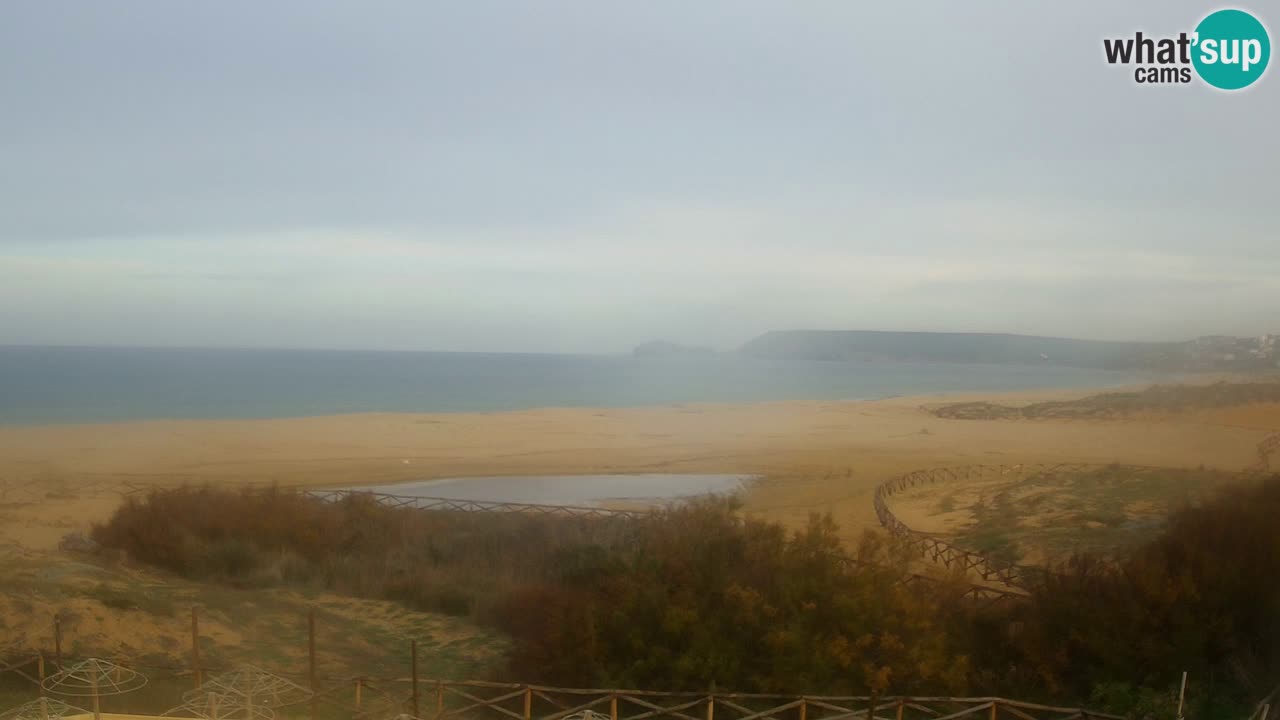 Webcam Torre dei Corsari – Live Beach View from Punta Usai