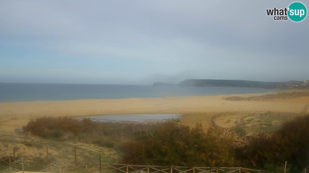 Webcam Torre dei Corsari – Live Beach View from Punta Usai