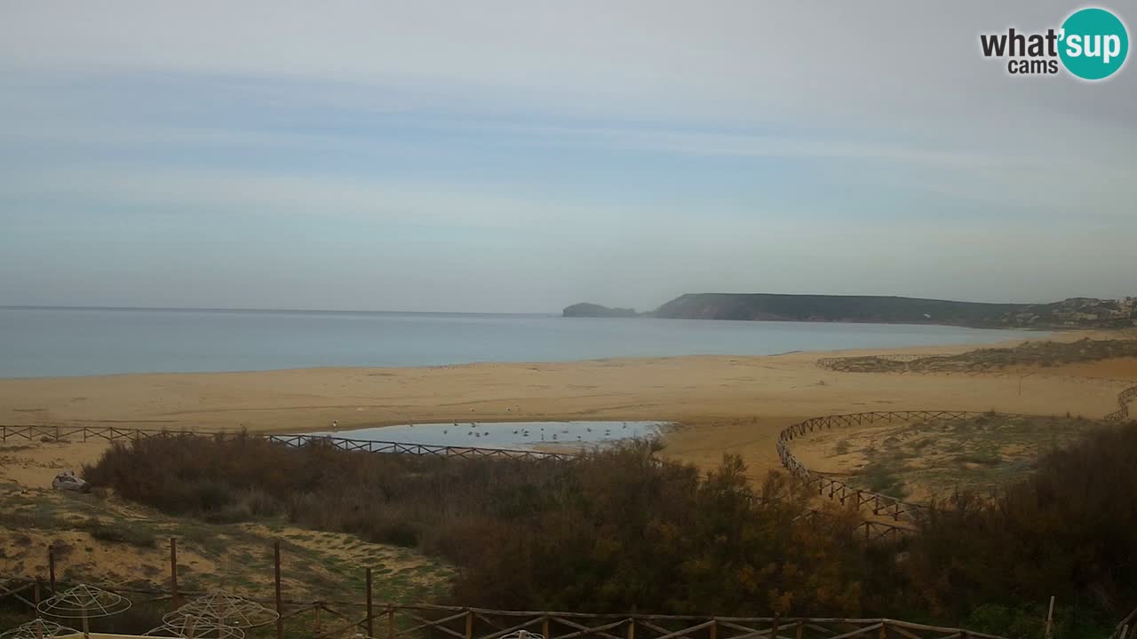 Webcam Torre dei Corsari – Live Beach View from Punta Usai