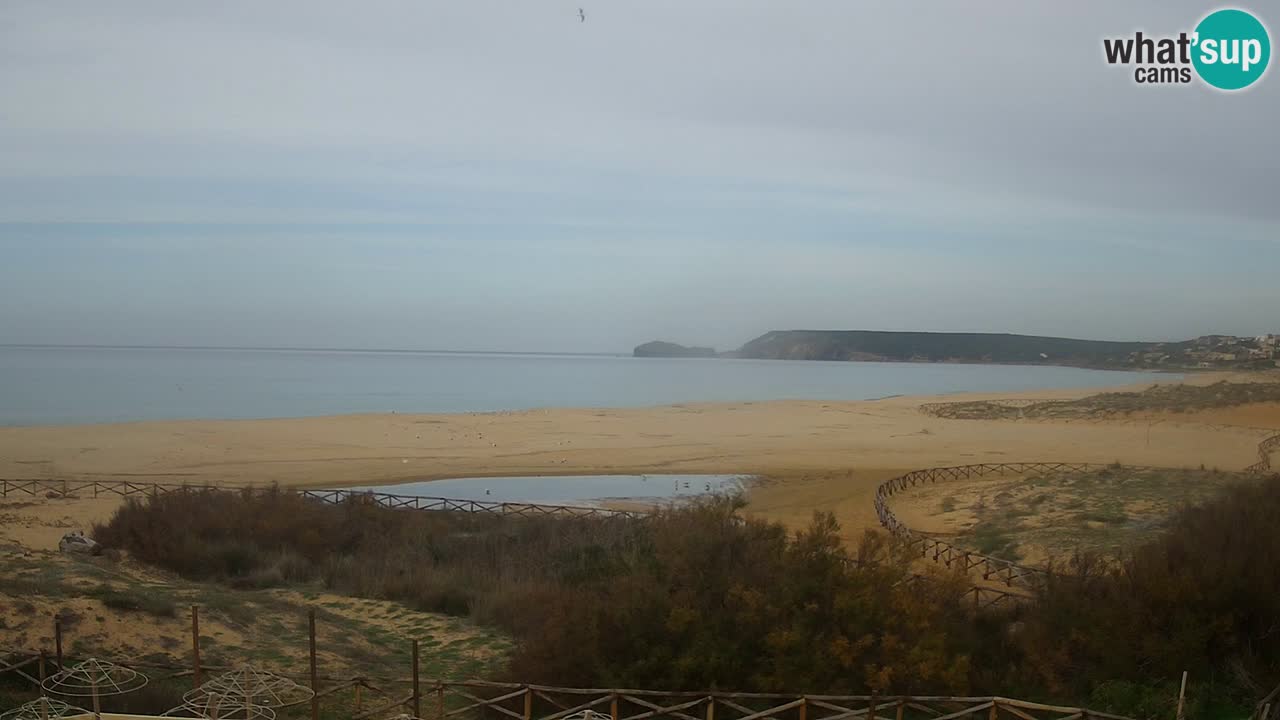 Webcam Torre dei Corsari – Live Beach View from Punta Usai