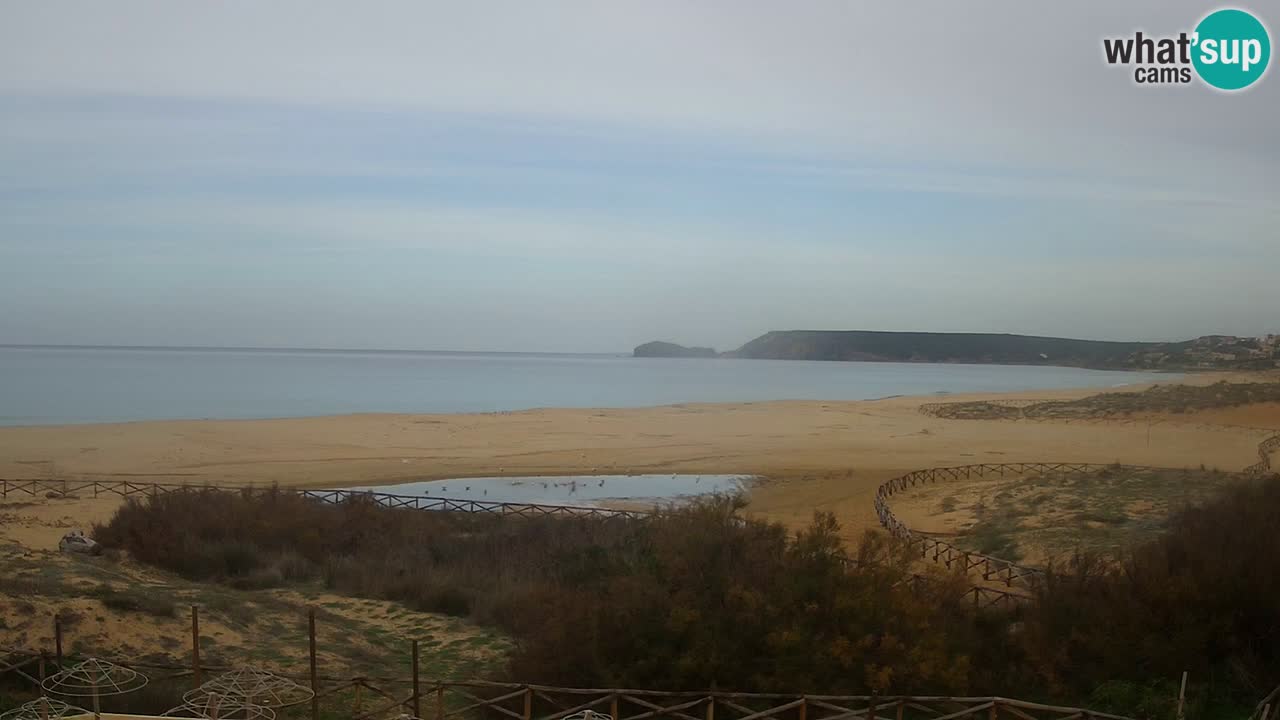 Webcam Torre dei Corsari – Vue en direct sur la plage depuis Punta Usai