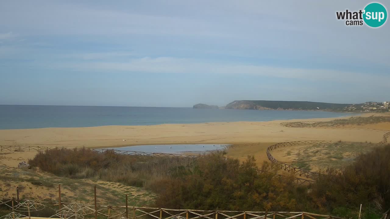Webcam Torre dei Corsari – Live Beach View from Punta Usai