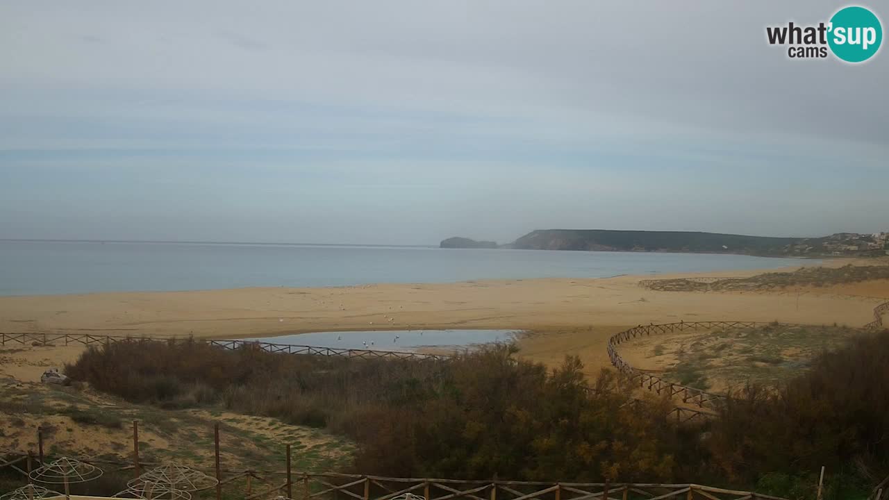 Webcam Torre dei Corsari – Liveblick auf den Strand von Punta Usai