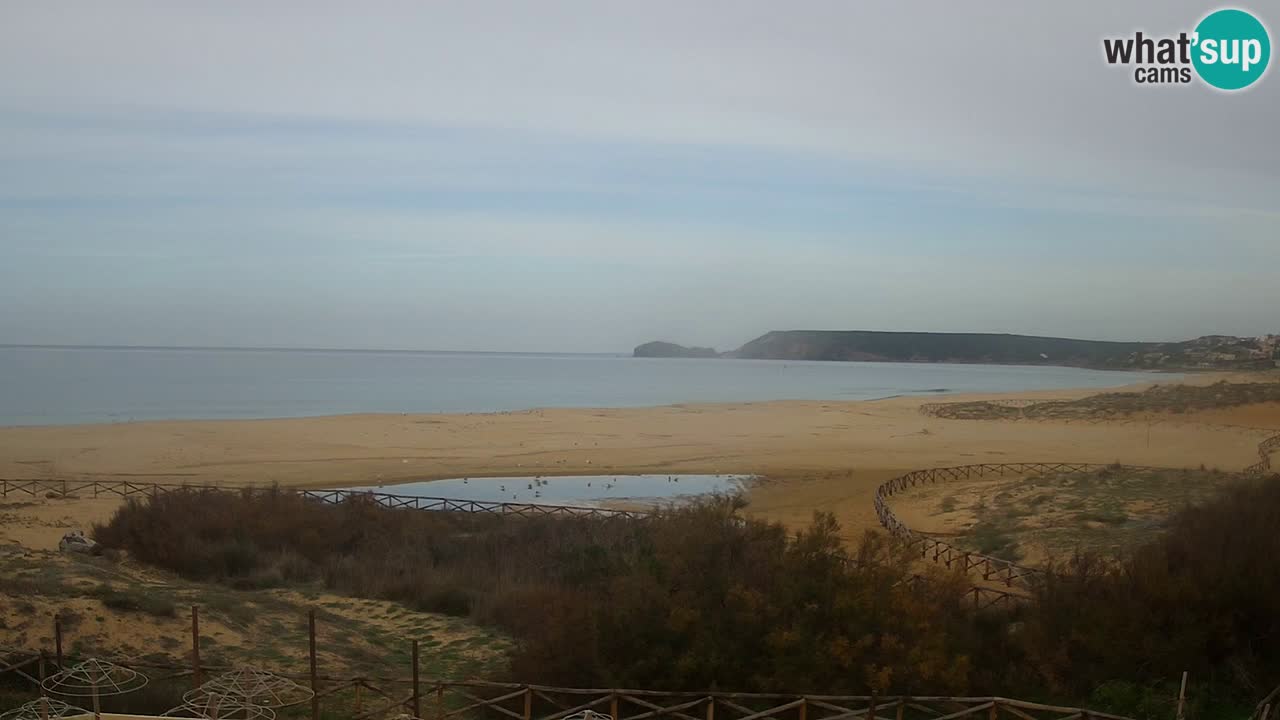 Webcam Torre dei Corsari – Vista live sulla spiaggia da Punta Usai