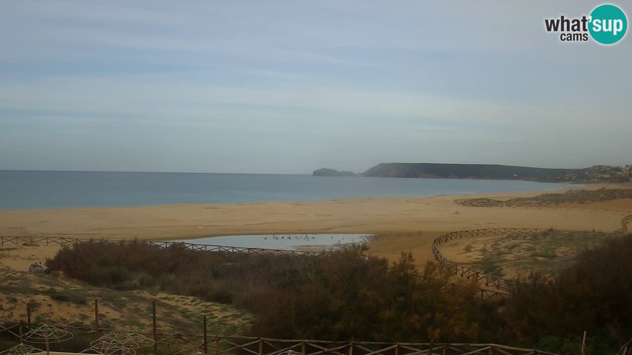 Webcam Torre dei Corsari – Live Beach View from Punta Usai