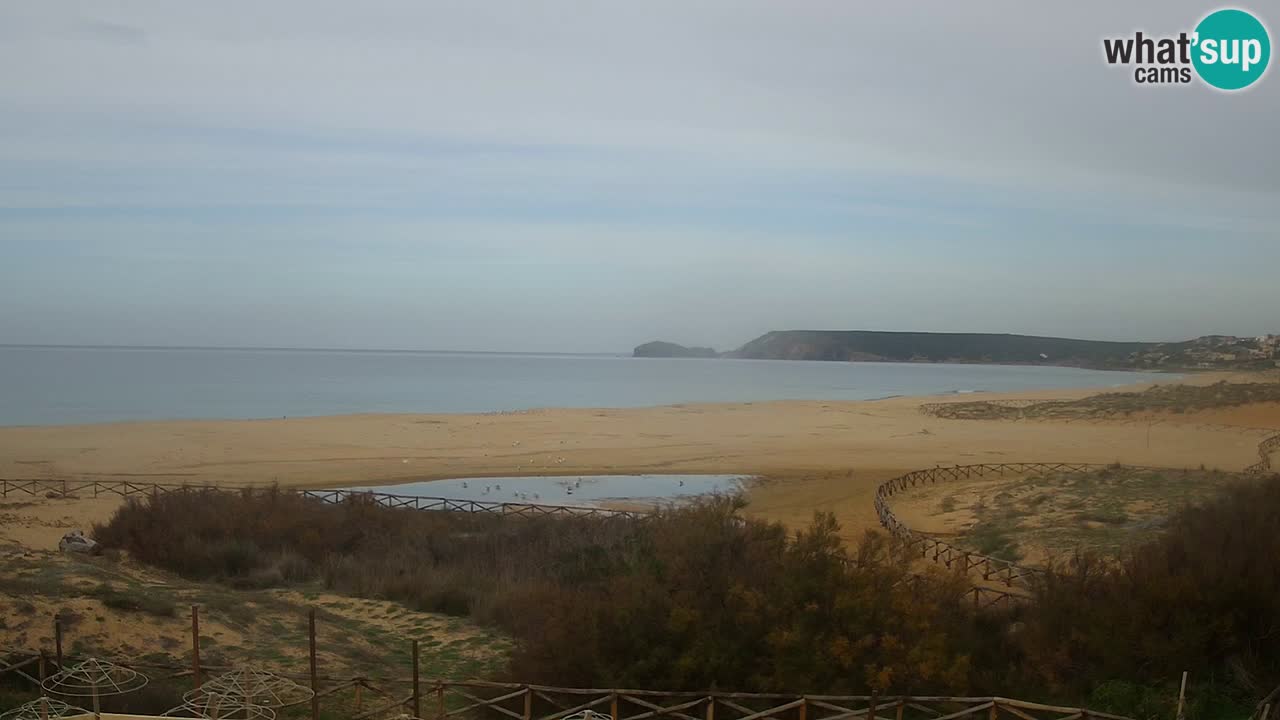 Webcam Torre dei Corsari – Live Beach View from Punta Usai