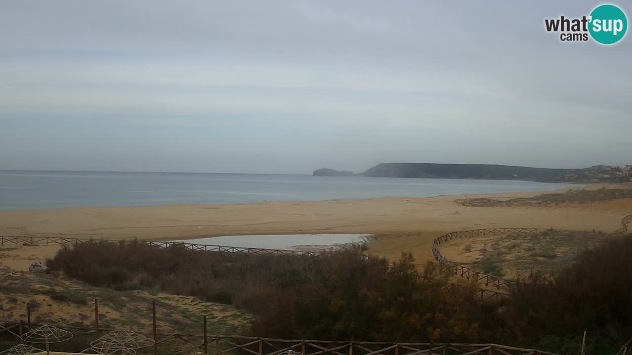 Webcam Torre dei Corsari – Live Beach View from Punta Usai