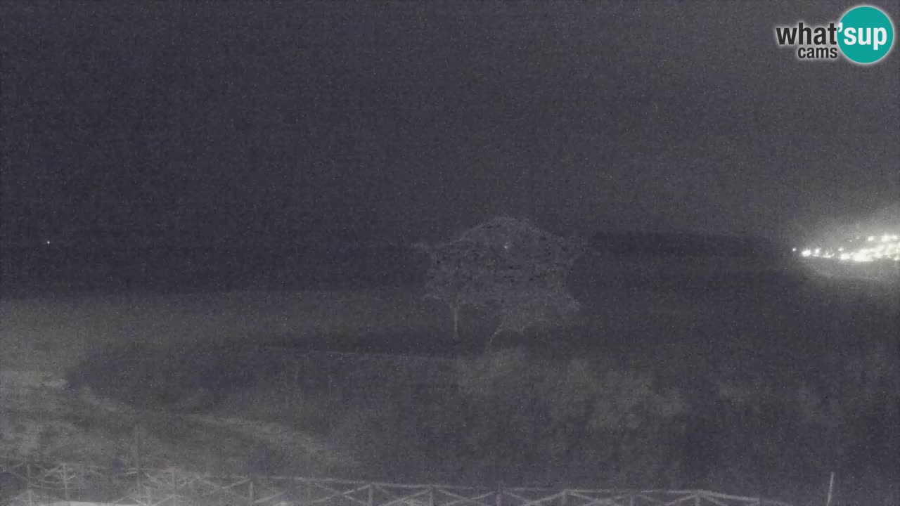 Webcam Torre dei Corsari – Live Beach View from Punta Usai