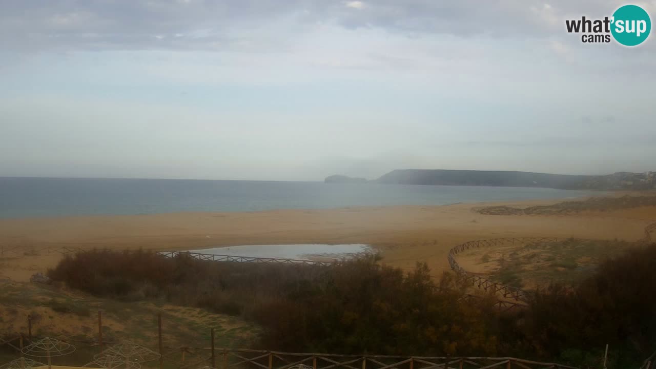 Webcam Torre dei Corsari – Live Beach View from Punta Usai