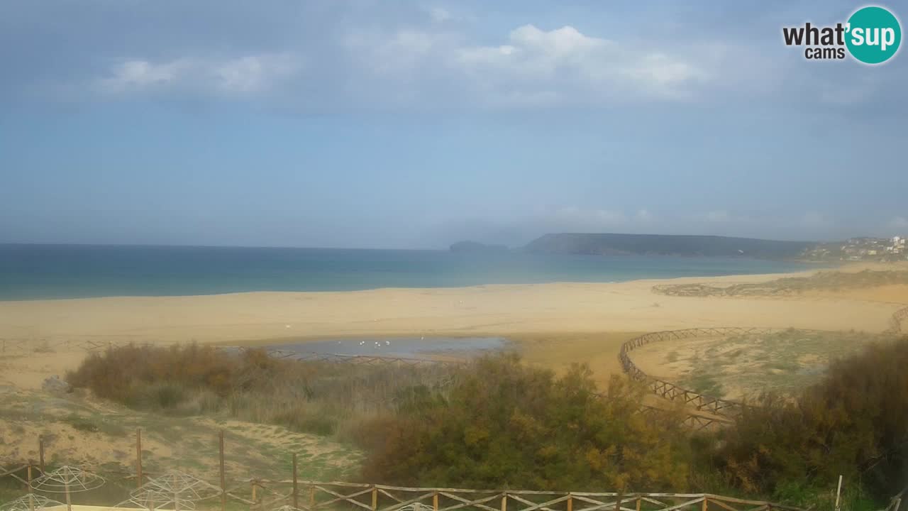 Cámara web Torre dei Corsari – Vista en directo de la playa desde Punta Usai