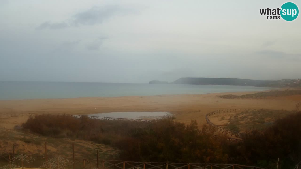 Webcam Torre dei Corsari – Live Beach View from Punta Usai