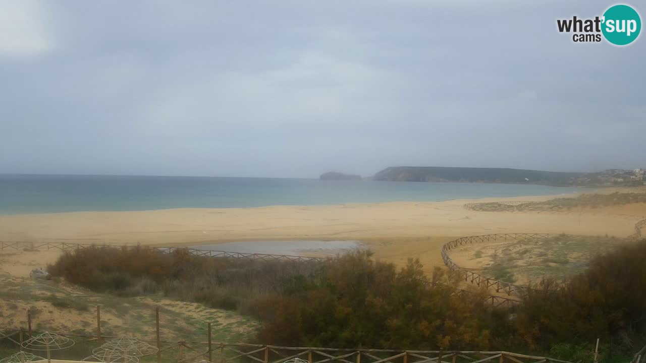 Webcam Torre dei Corsari – Live Beach View from Punta Usai