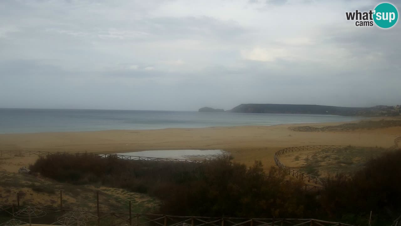 Webcam Torre dei Corsari – Live Beach View from Punta Usai