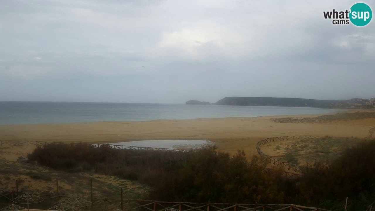 Webcam Torre dei Corsari – Live Beach View from Punta Usai