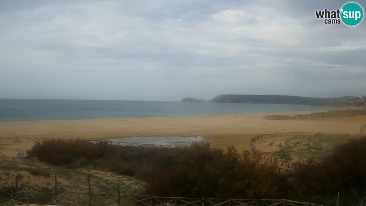 Webcam Torre dei Corsari – Vue en direct sur la plage depuis Punta Usai
